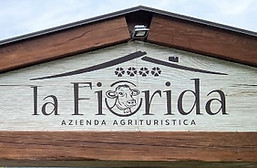 IMG_7146 (Media).jpg