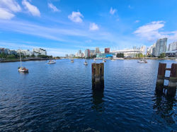 FALSE CREEK