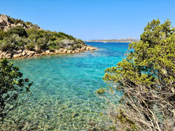 CALA SELVAGGIA
