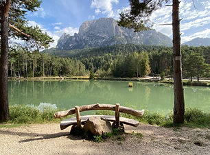 IMG_1014 (Media).JPG