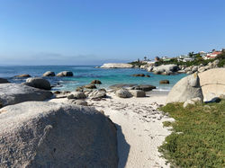 BOULDERS PENGUIN COLONY