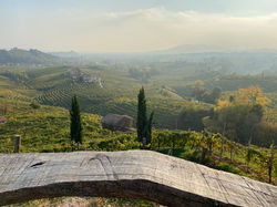 TERRAZZA PANORAMICA DEL CARTIZZE COLESEL