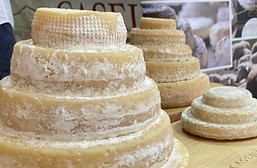 IMG_0422 (Media).JPG