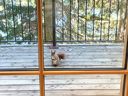 SAN LUIS RETREAT HOTEL & LODGES