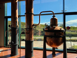 DISTILLERIE BERTA