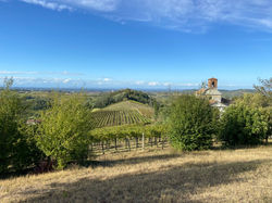 PANCHINA GIGANTE ROSA DI ALICE BELCOLLE