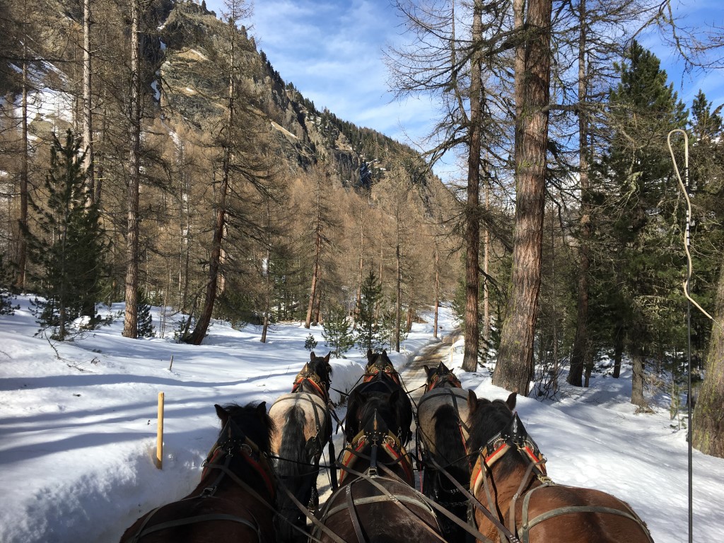 Esplorare La Val Roseg In Carrozza