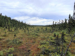 KENAI NATIONAL WILDLIFE REFUGE