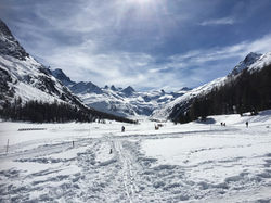 IN CARROZZA IN VAL ROSEG