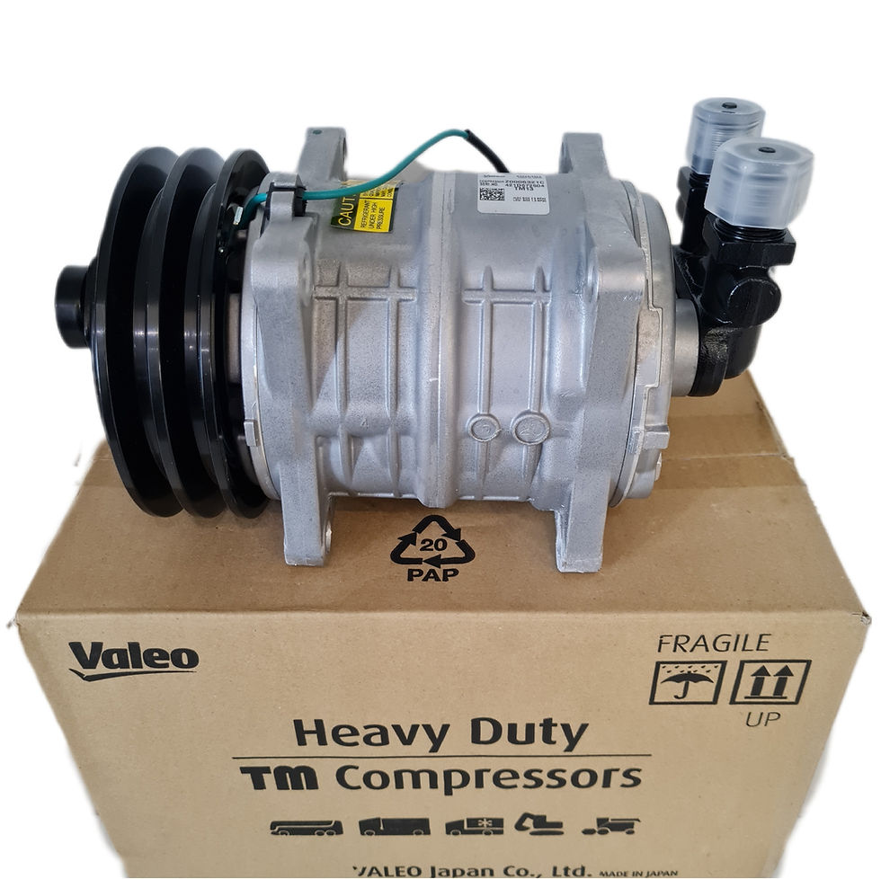 Миниатюра: TM13 Valeo