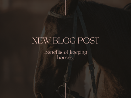 15 Best Passive Income Ideas for 2025: Powerful Ways to Grow Your Wealth