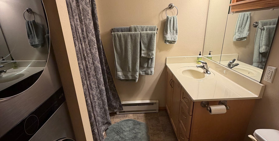 The bathroom at Sound View B&B has a shower and a full-sized washer and dryer tower