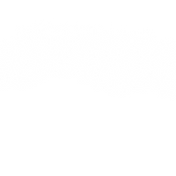 White Paint