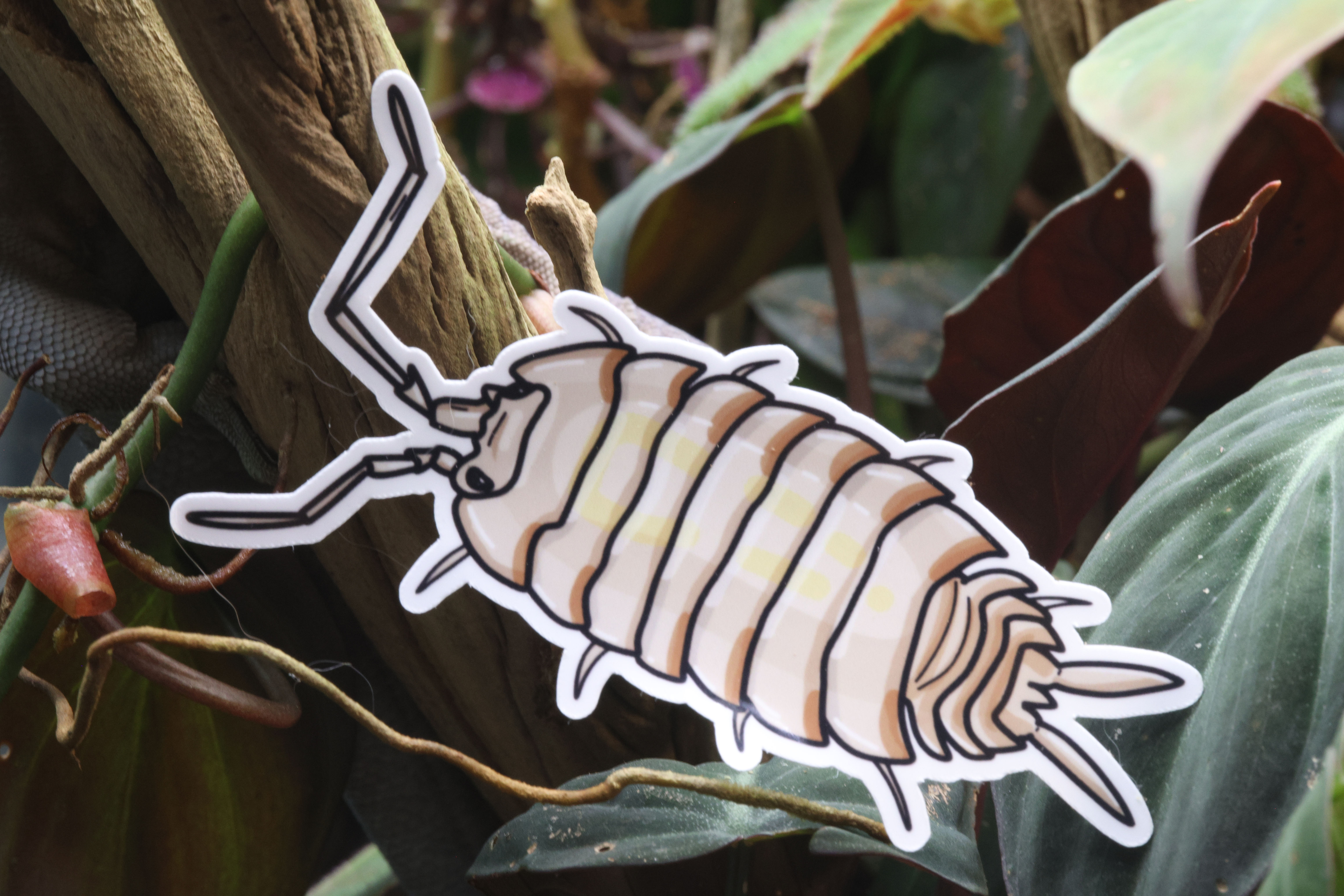 3in Vinyl Laminated Waterproof Sticker, Porcellio "Bolivari"