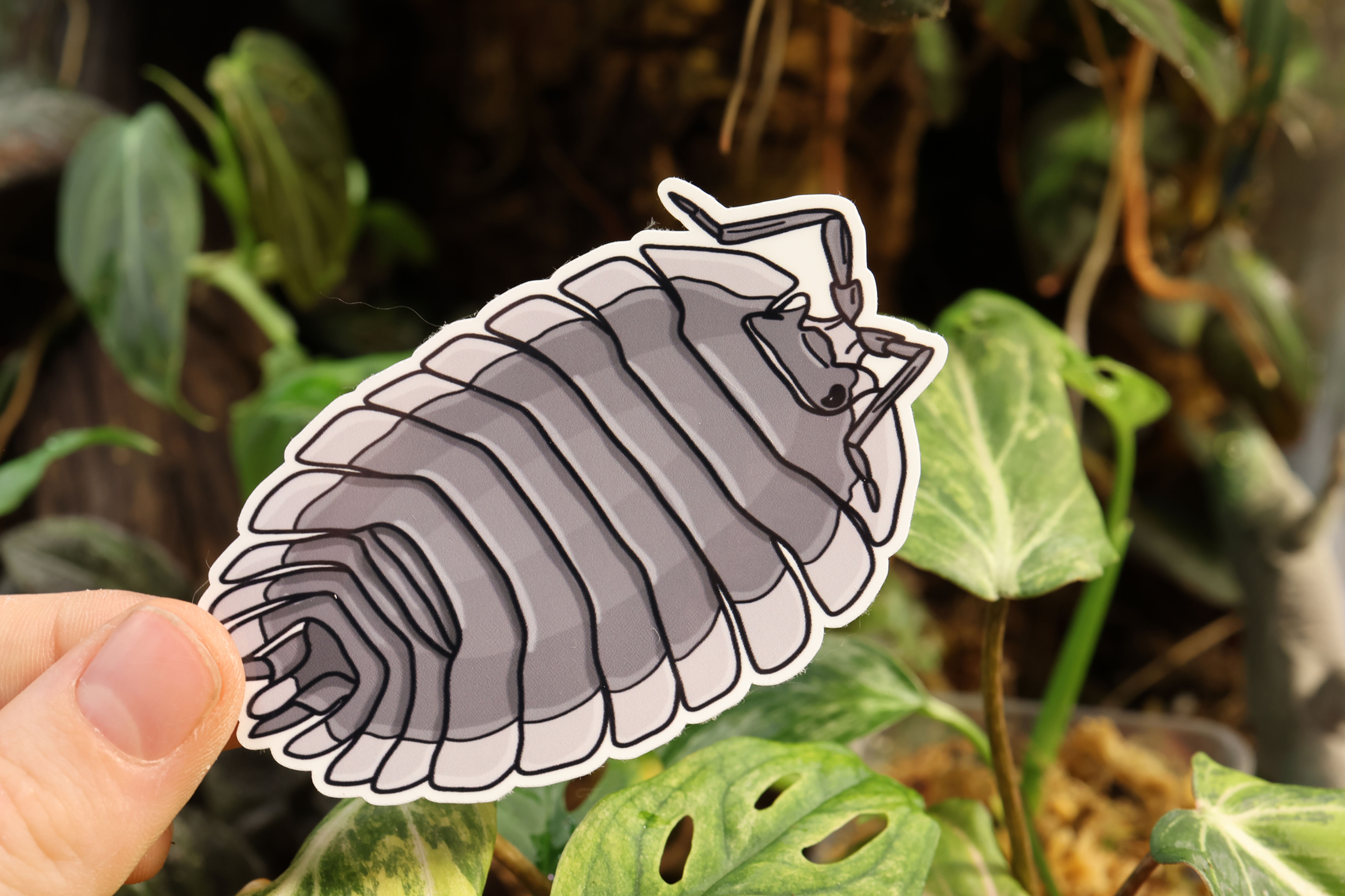 3in Vinyl Laminated Waterproof Sticker, Porcellio werni "Greek Shield"