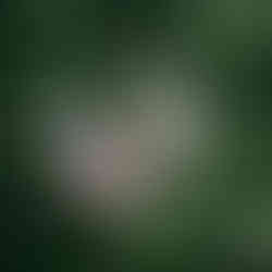 photobooth anniversaire enfant animation