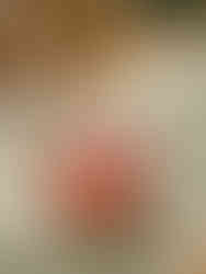 mariage en petit comité - plage du Cap-Ferret