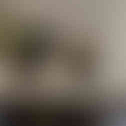 Remplacement d’une plaque de cuisson sur la commune d’Arpajon