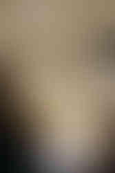 Photos Brunch Mariage 8 | Claraly Studio