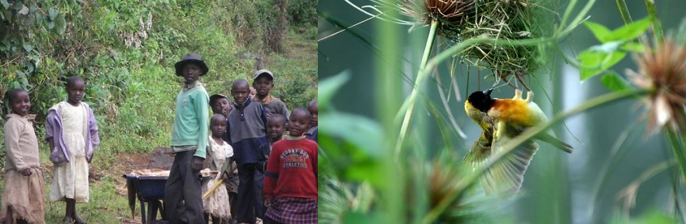Kenya : Tourisme responsable et safaris 7 jours