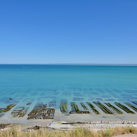 Sécurisation avancée des parcs à huîtres : enjeux et innovations