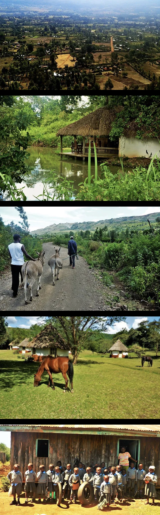 Écovolontariat au Kenya