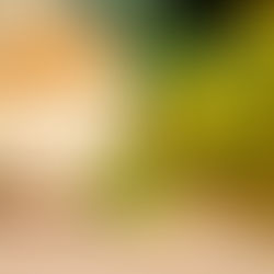 Miel crémeux ou liquide : lequel choisir ?