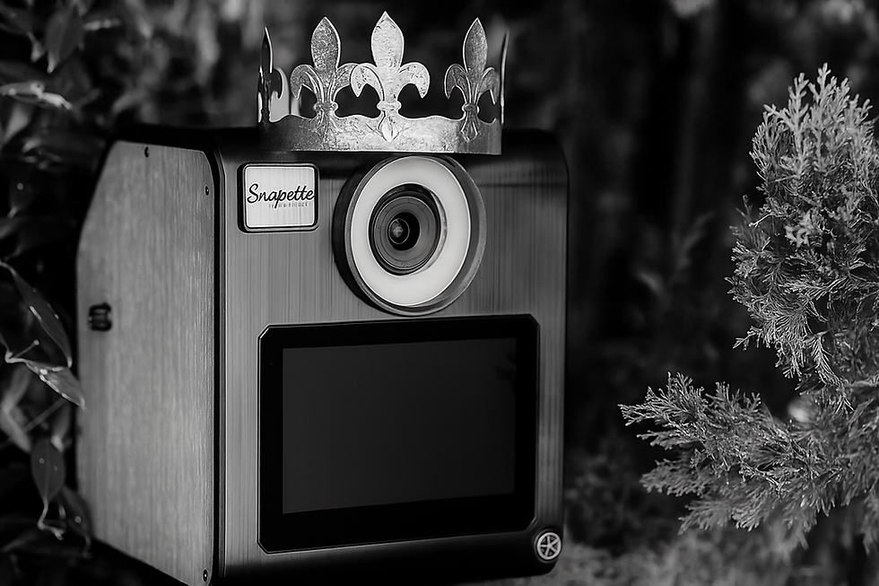 Animation Galette des Rois en entreprise - photobooth