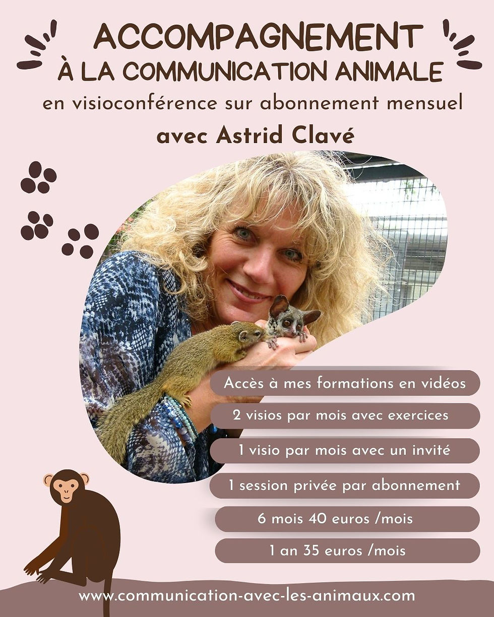accompagnement à la communication animale en visio