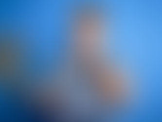 Est-ce que le SEO est vraiment fait pour tout le monde ?