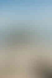 Top 5 des lieux de mariage à Bordeaux & sur le Bassin d’Arcachon