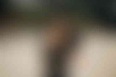 Séance photos grossesse Cap-Ferret