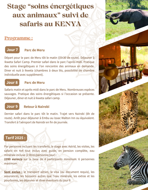 Stage "Soins énergétiques aux animaux"suivi de safaris au Kenya