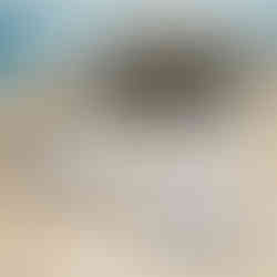 Mariage à la Cabane Bartherotte-Le Cap Ferret