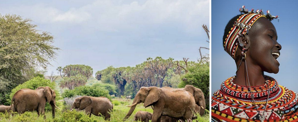 Safari dans la réserve de Samburu