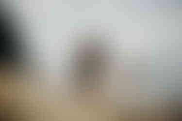 Séance photos grossesse Cap-Ferret