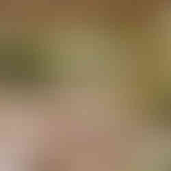 decoration balcon terrasse