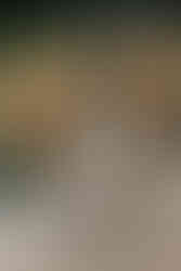 photographe-mariage-domaine-de-petiosse-landes