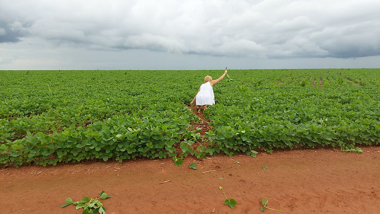Brasília-DF (186).jpg