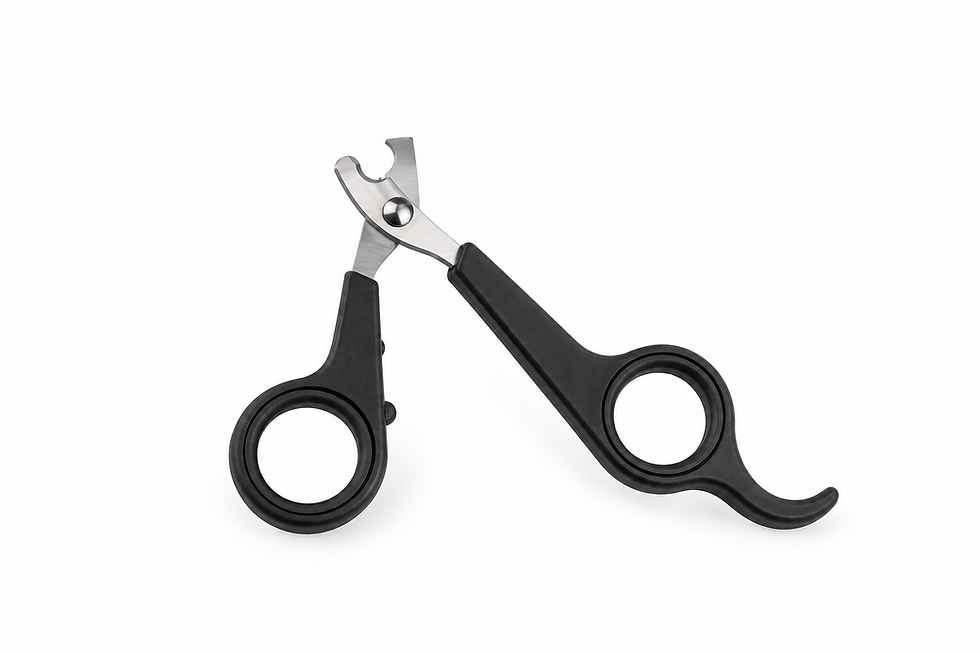 Small pet nail clippers for guinea pigs