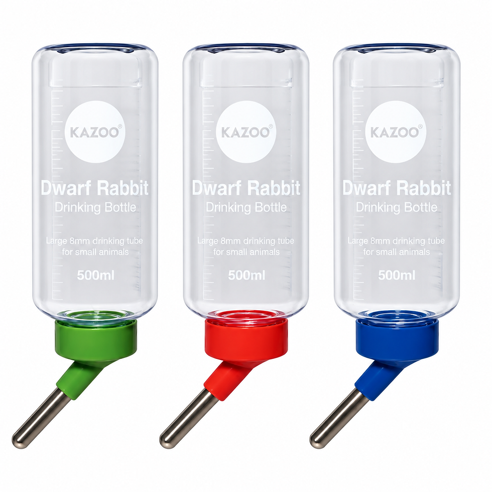 Three Kazoo 500ml guinea pig drinking bottles in green, red, and blue.