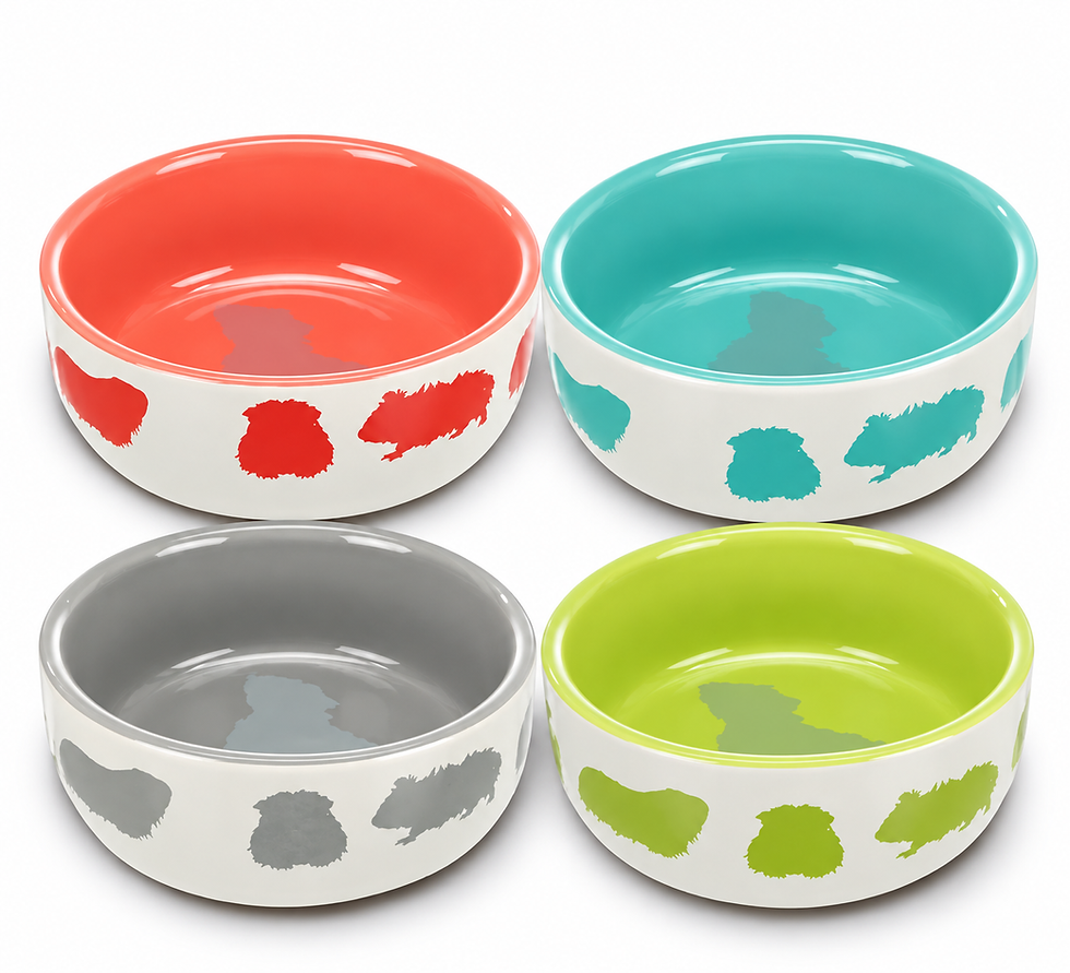 Four ceramic guinea pig food bowls in assorted colours.