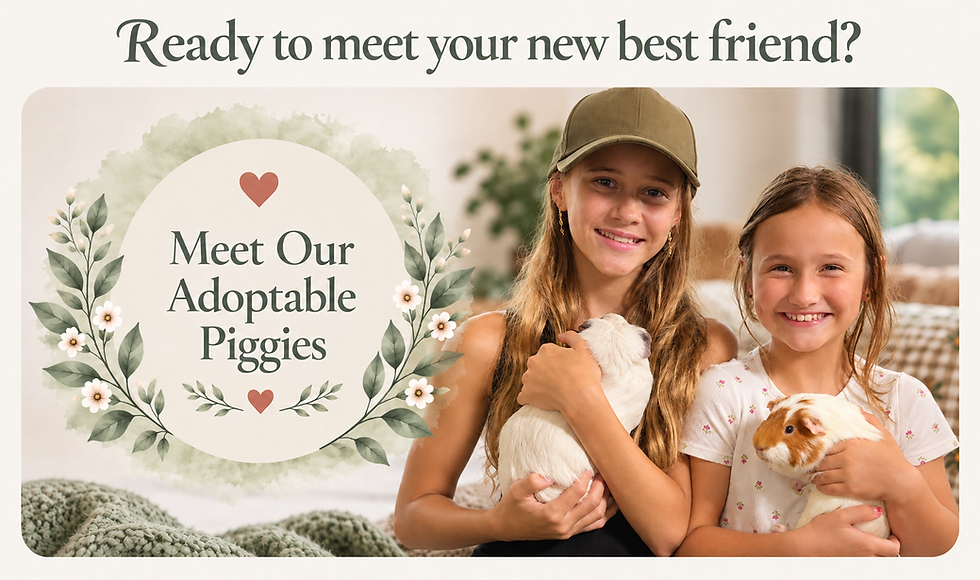 Two children happily cuddling guinea pigs, inviting visitors to meet the guinea pigs currently available for adoption at Miss Piggy’s Lair.