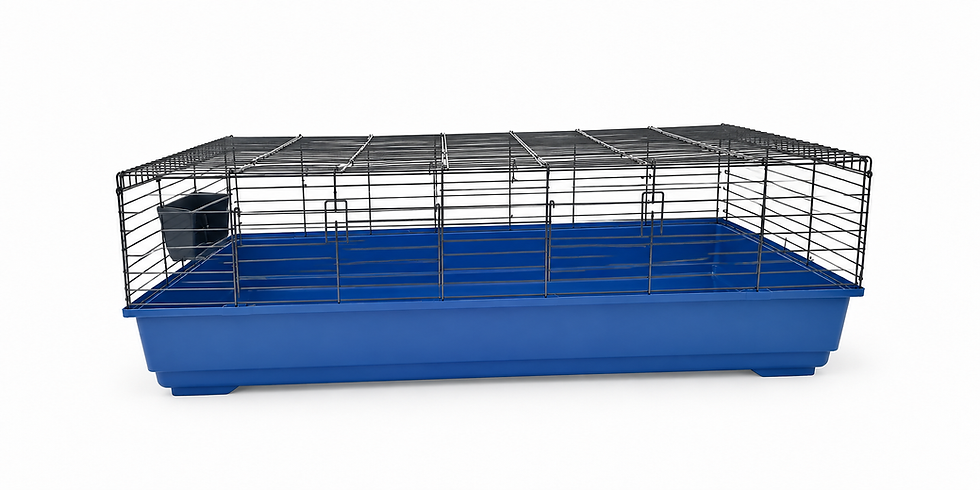 Indoor 140cm guinea pig cage with blue base and wire top
