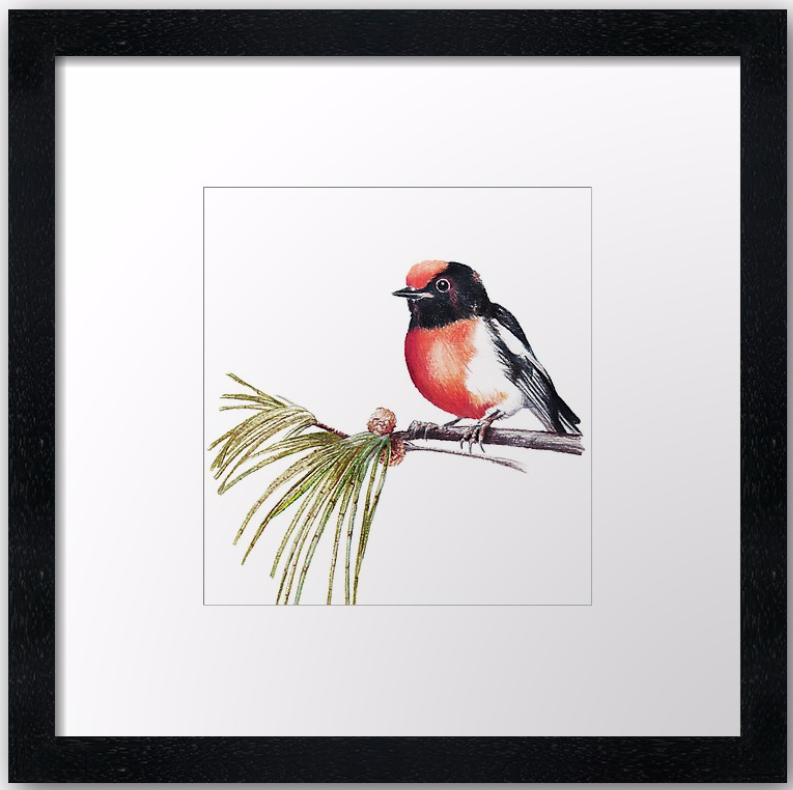 Scarlet Robin & Sheoak