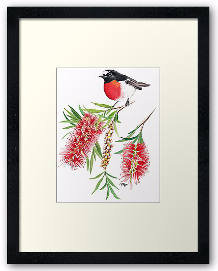Robin & Bottlebrush