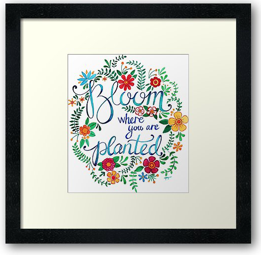 Bloom