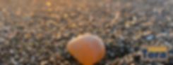 Copy of Add a subheading (2).png