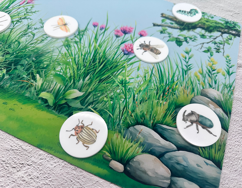 Thumbnail: Insect Acrylic Coins - Bugs, Insects, Washable Kids Toys, Educational Toy