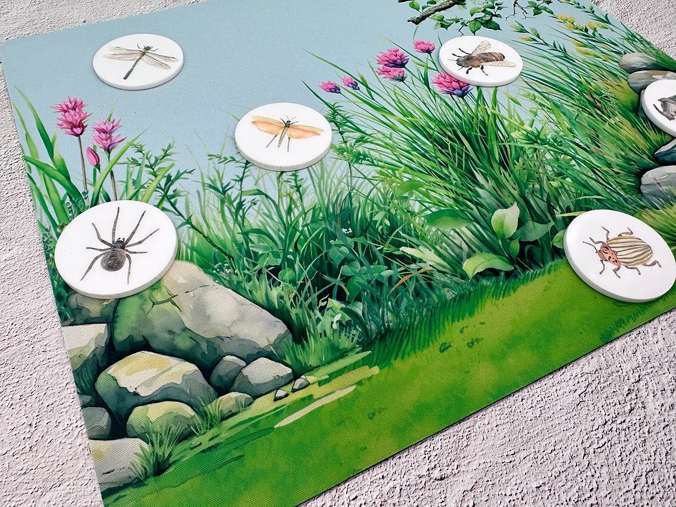 Thumbnail: Insect Acrylic Coins - Bugs, Insects, Washable Kids Toys, Educational Toy
